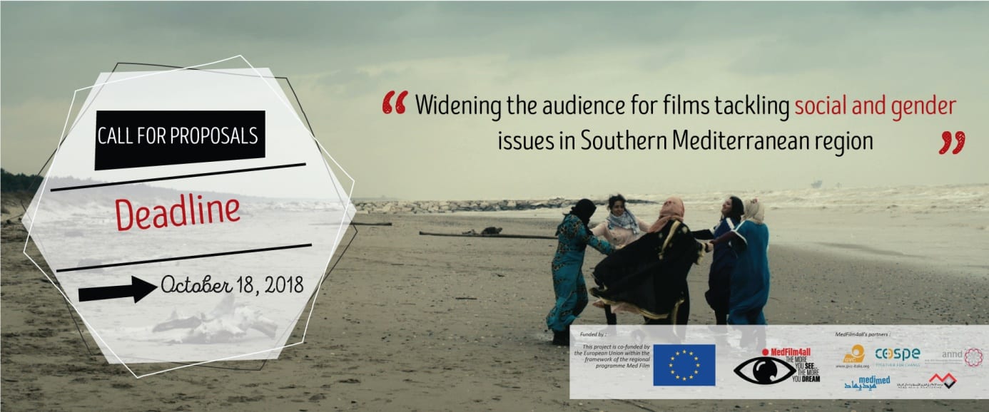 require propositions: The EU-funded MedFilm4all grant for MENA movie tasks