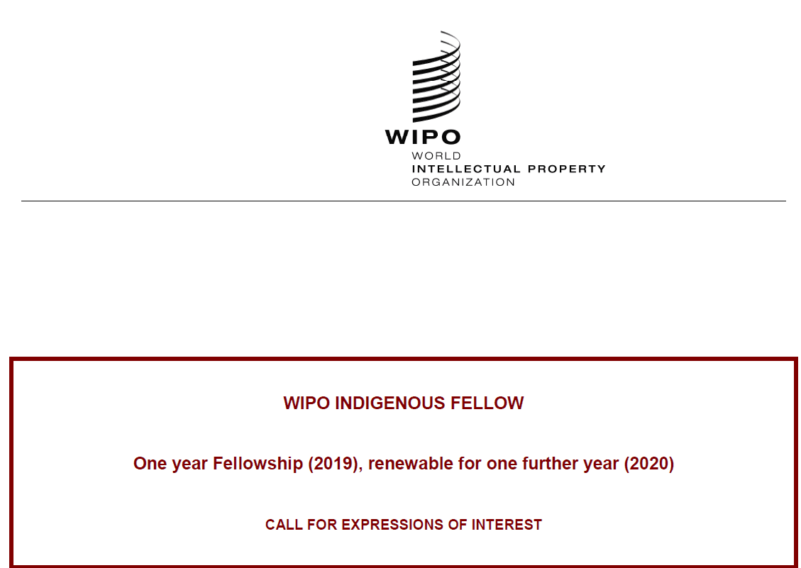 World Copyright Company (WIPO) Native Fellowship 2019/2020 in Geneva, Switzerland (Totally Moneyed)