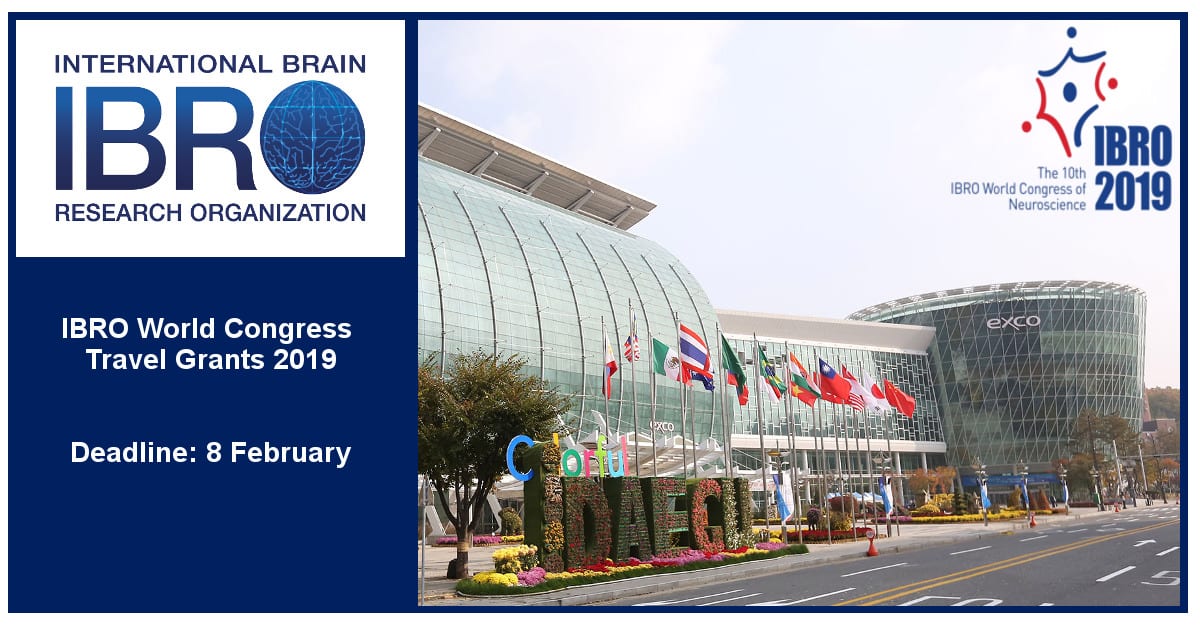 IBRO World Congress Travel Grants Program 2019 (As Much As EUR2,000 Euros)