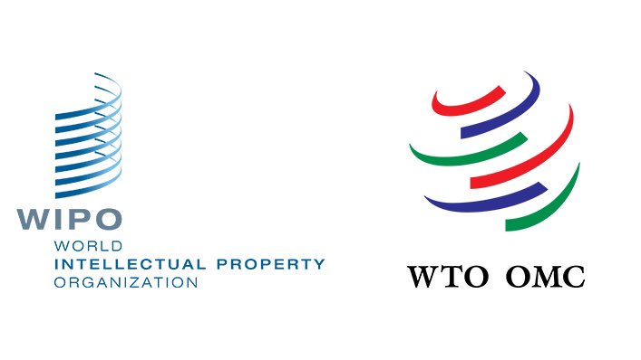 2019 WIPO-WTO colloquiums for copyright instructors from Establishing Nations (Completely Moneyed to Geneva, Switzerland)