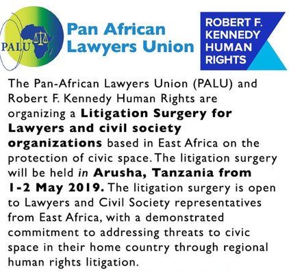 Robert F. Kennedy Human Being Rights 2019 Civic Area Lawsuits Surgical Treatment for Attorney & & civil society companies based in East Africa– Arusha, Tanzania (Totally Moneyed)