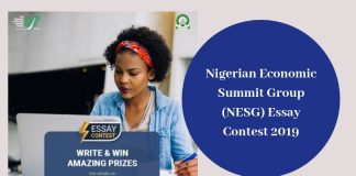 Nigerian Financial Top Group (NESG) Essay Contest 2019 for Undergrads in Nigeria