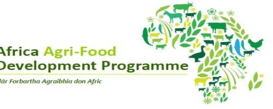 Africa Agri-Food Advancement Program 2019/2020 for agri food business in Africa.