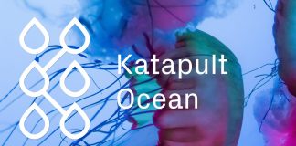 Katapult Ocean Accelerator 2019 for Tech Startups (Approximately $150 K in financial investment)