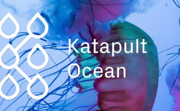 Katapult Ocean Accelerator 2019 for Tech Startups (Approximately $150 K in financial investment)