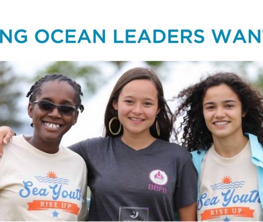 World Oceans Day Youth Advisory Council: Young Ocean Leaders Desired!