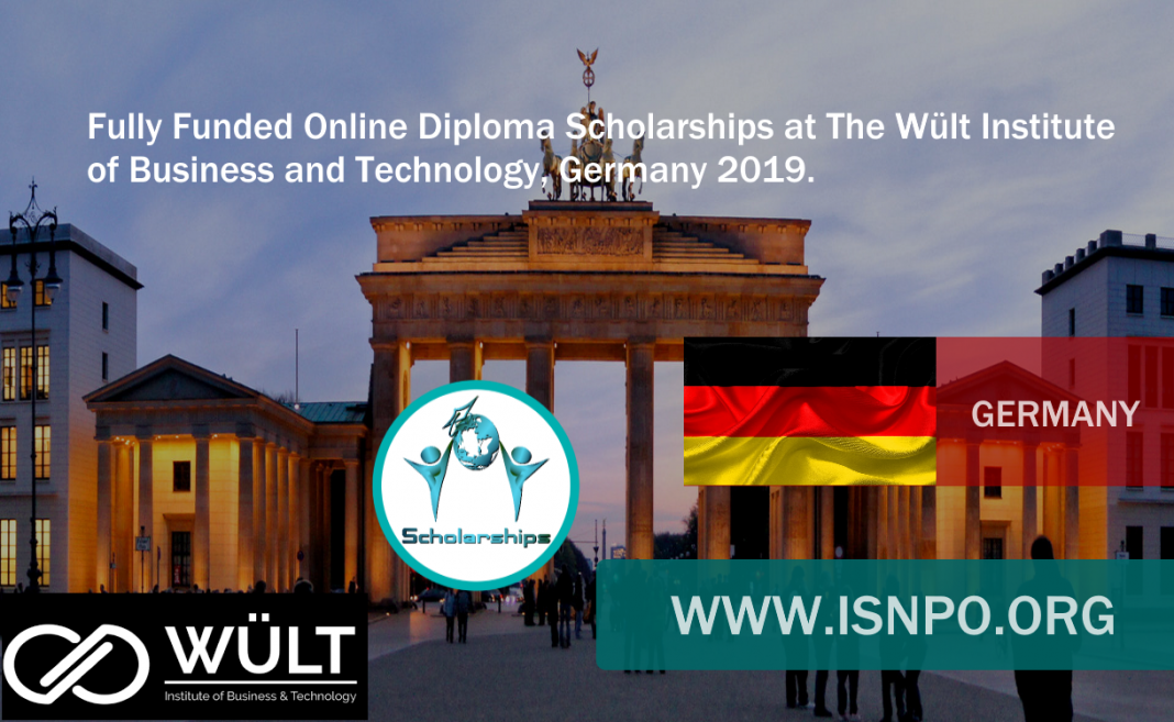 Completely Moneyed Online Diploma Scholarships at The Wült Institute of Organisation and Innovation, Germany