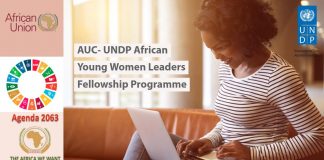 AUC-UNDP African Young Women Leaders Fellowship Program 2019 at UNDP Head Office in New York City or in a local or nation workplace (Completely Moneyed)