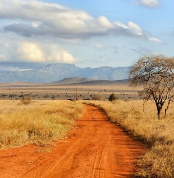 British Ecological Society Ecologists in Africa Grant 2019 (Approximately ₤ 8,000)