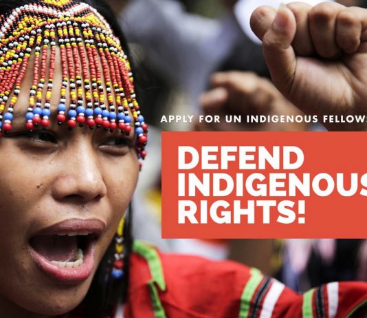 United Nations OHCHR Indigenous Fellowship Program 2020– Human Right Training in Geneva Switzerland (Completely Moneyed)