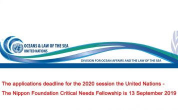 United Nations-The Nippon Structure Crucial Requirements Fellowship 2020 (Stipend readily available)