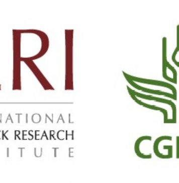 The International Livestock Research Institute (ILRI) Graduate Fellowship 2020