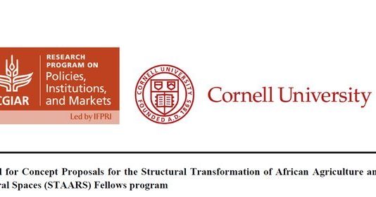 Structural Transformation of African Agriculture and Rural Spaces (STAARS) fellowship Program 2020 for early-career African Researchers (Fully Funded)