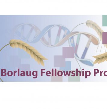 Norman E. Borlaug International Agricultural Science and Technology Fellowship Program 2020 (Funded to United States)