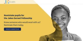 Jakes Gerwel Fellowship Programme 2020 for young South Africans