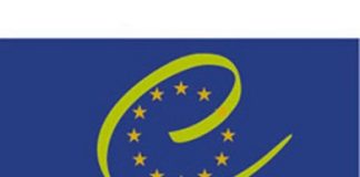European Union’s Friends of Europe Fellowship 2020 for emerging African Leaders