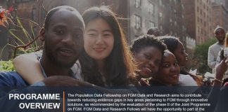 UNV/UNFPA Population Data Fellows Programme 2020/2021 for FGM Data and Research