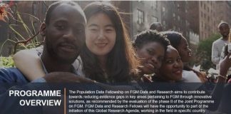 UNFPA/UN Volunteer Population Data Fellowships 2020 for early-career professionals