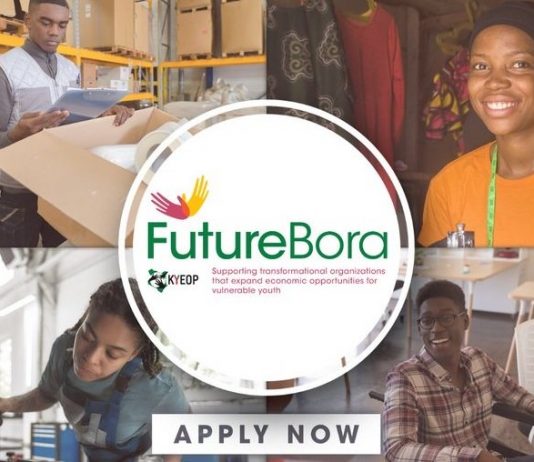 Future Bora Challenge 2020 for Organizations in Kenya (Grant funding of KSH 40 million)