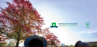 Wageningen University & Research 2021 Africa Scholarship Programme (ASP) for young African Students (Fully Funded to Wageningen, The Netherlands)