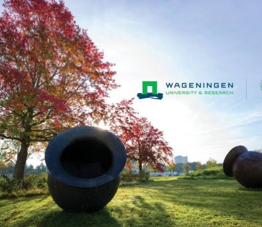 Wageningen University & Research 2021 Africa Scholarship Programme (ASP) for young African Students (Fully Funded to Wageningen, The Netherlands)