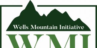 Well Mountain Initiative (WMI) Scholars Program 2021 for Students in Developing Countries