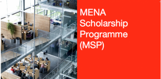 Nuffic MENA Scholarship Programme 2021/2022 for Study in the Netherlands