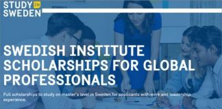 Swedish Institute Scholarships for Global Professionals (SISGP) 2021/2022 for Master’s Level Studies in Sweden (Fully Funded)