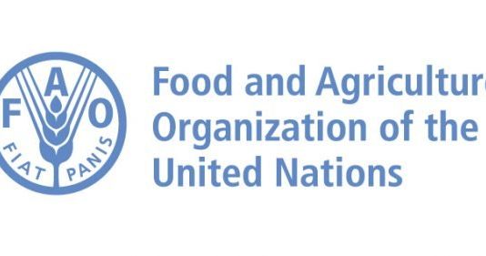 Food and Agriculture Organization of the United Nations (FAO) Fellowship Programme 2021
