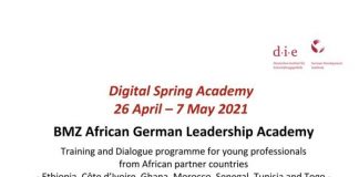 BMZ African German Leadership Academy Training and Dialogue Programme 2021 for young professionals.