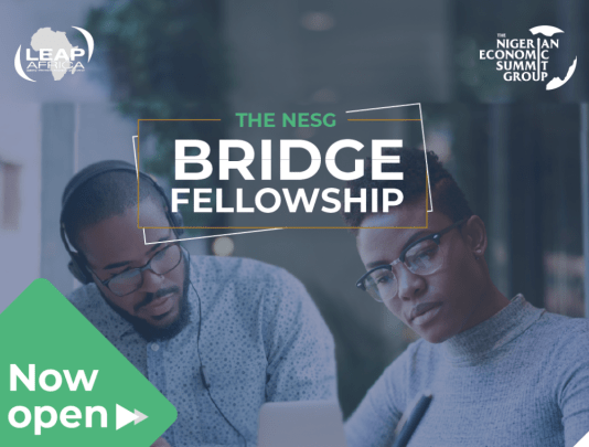 Nigerian Economic Summit Group (NESG) Bridge Fellowship 2021