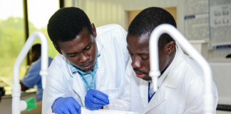 African-German Network of Excellence in Science (AGNES) Intra-Africa Mobility Grants for Junior Researchers 2021