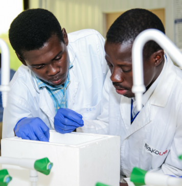African-German Network of Excellence in Science (AGNES) Intra-Africa Mobility Grants for Junior Researchers 2021