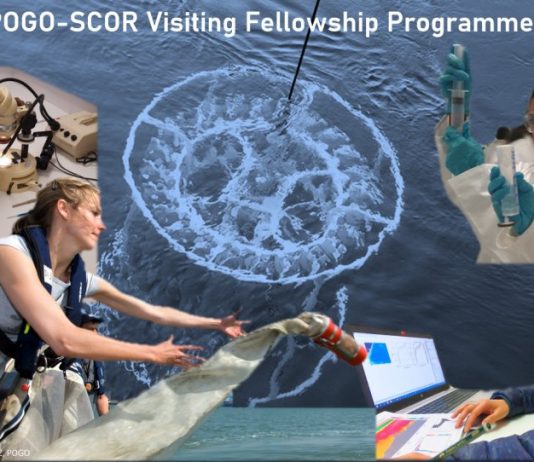POGO-SCOR Visiting Fellowship Programme 2021