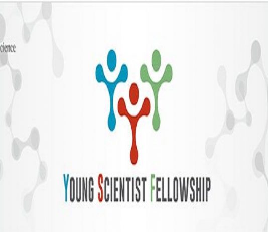 Institute for Basic Science (IBS) Young Scientist Fellowship 2021 (Funded)