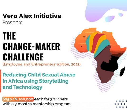 Vera Alex Initiative Grants for Changemakers 2021 (Up to N100,000)