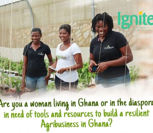Guzakuza Ignite Program 2021 for Ghanaian Women in Agribusiness