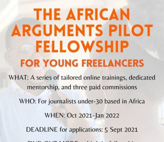 The African Arguments Pilot Fellowship 2021 for young Freelancers