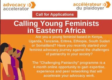 The Heinrich Böll Foundation Advocacy Accelerator Programme 2021 for young feminists in Eastern Africa.