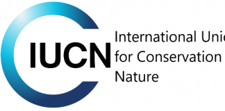 International Union for Conservation of Nature (IUCN) Rwanda is hiring a Program Officer