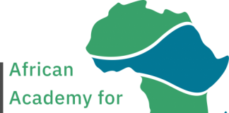 Call for Applications: ICFJ African Academy for Open Source Investigation 2021
