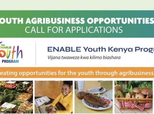 Empowering Novel Agribusiness-Led Employment (ENABLE) Youth Kenya Program 2021 for young Kenyan agripreneurs.