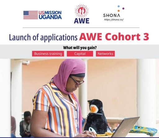The Academy for Women Entrepreneurs (AWE) Uganda Program 2021 for female Entrepreneurs.