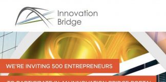 The Innovation Bridge Portal Digital Incubation (IBP 500) Program for Southern African Entrepreneurs.