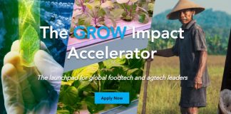 GROW Impact Accelerator 2022 for Global FoodTech and AgTech Leaders ($200K worth of cash and in-kind investment)