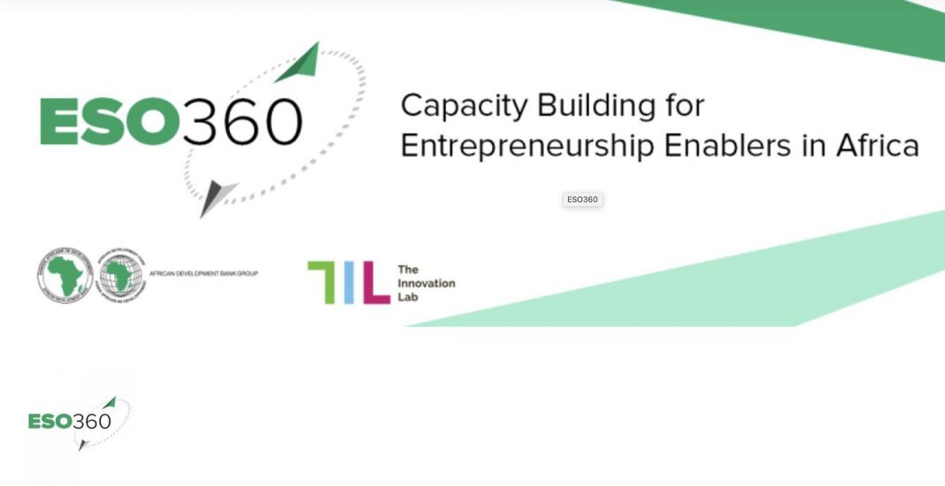 African Development Bank’s (AfDB) Innovation Lab ESO360 Program – Capacity Building for Entrepreneurship Enablers in Africa