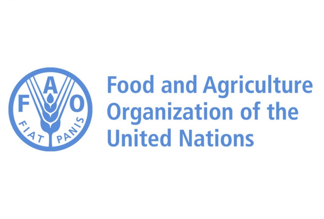 UN FAO-Hungarian Government Scholarship Program 2022–2023